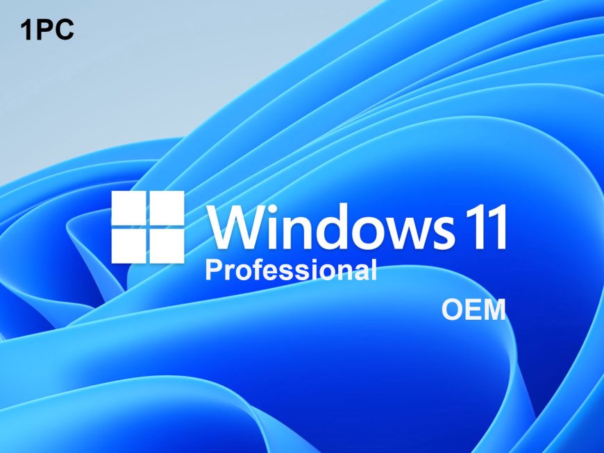 Windows 11 Pro OEM Key  prices from $4.19